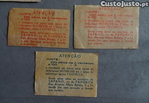 imagem_3
