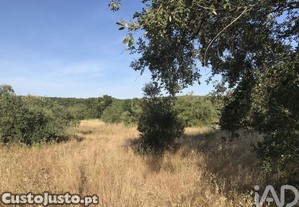 Terreno Agrícola em Chãos
