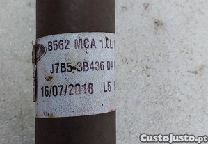 imagem_4