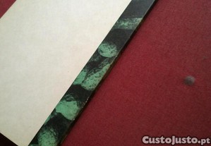 imagem_7