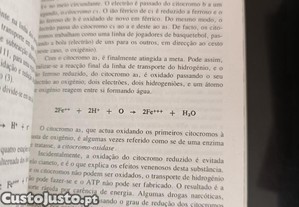 imagem_7