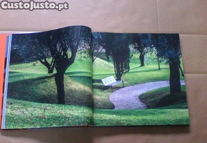 imagem_6
