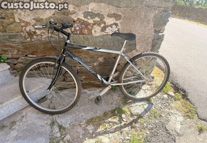 Bicicleta Speedy
