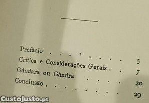 imagem_10