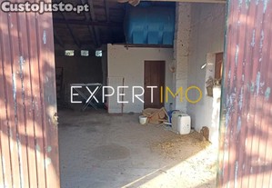 imagem_20