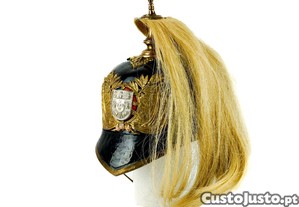 imagem_1