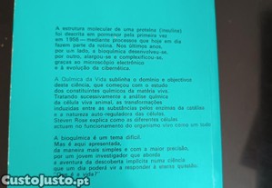 imagem_8