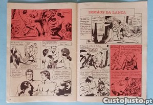 imagem_6