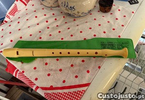 flauta de música com capa verde
