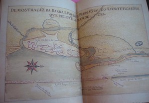 imagem_7