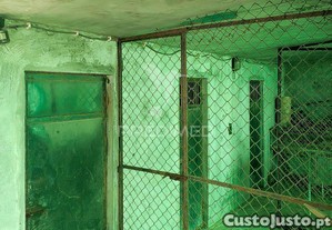 imagem_11