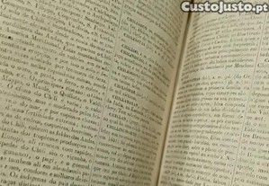 imagem_10
