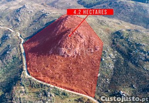 Terreno Florestal Com 4.2 Hectares Em Marco De...