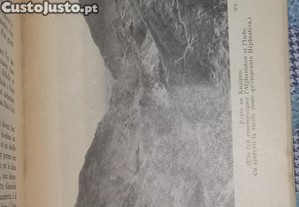 imagem_7
