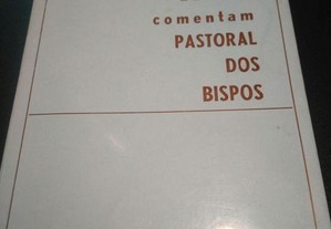 Leigos comentam : Pastoral dos Bispos -