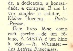 imagem_8