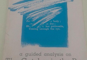 A Guide Analysis on the Catcher in the Rye