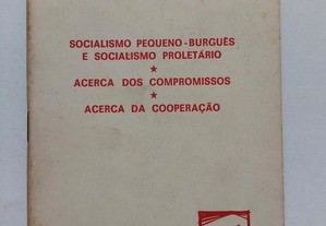 Socialismo Pequeno-Burguês e Socialismo Proletário