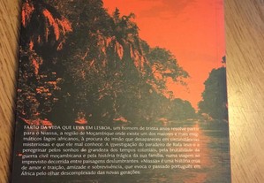 imagem_3