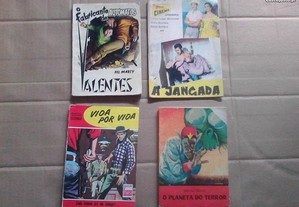 imagem_8