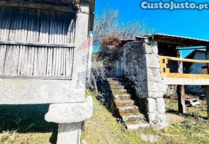 imagem_14