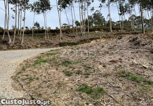 Terreno Para Exploração Florestal E Agrícola -...