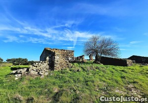 Terreno com 4,3 ha e ruínas no concelho de ourique