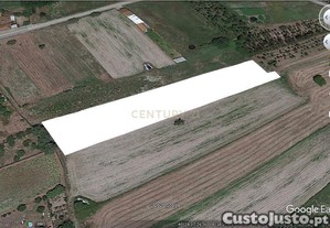 imagem_5