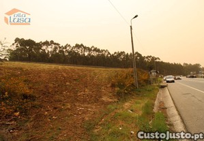 imagem_25