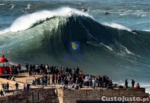 imagem_17