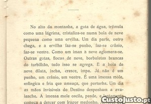 imagem_8