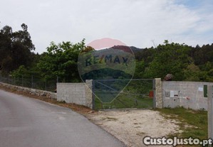 imagem_25