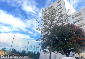 imagem_21