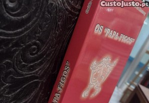 imagem_2