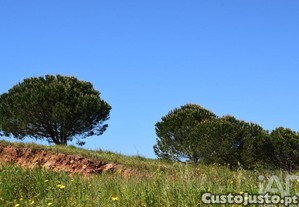 imagem_28