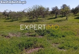 imagem_29