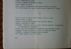 imagem_8