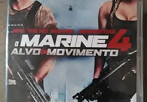 imagem_11