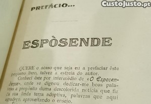 imagem_9
