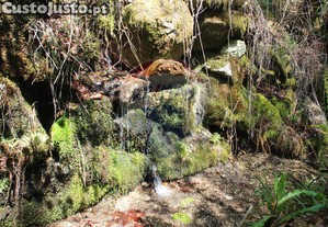 imagem_7