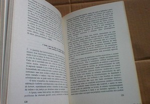 imagem_8
