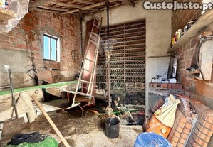 imagem_29