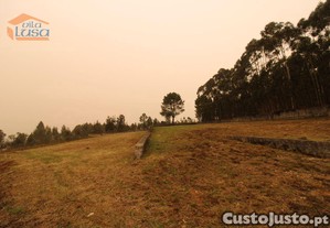 imagem_21