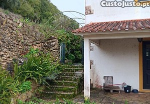 Casa / Villa T4 em Aljubarrota de 317 m²