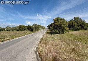 imagem_12
