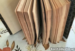 imagem_3