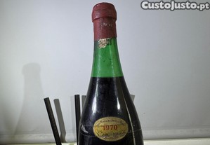 imagem_3