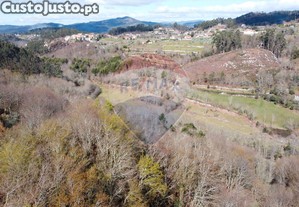 imagem_7
