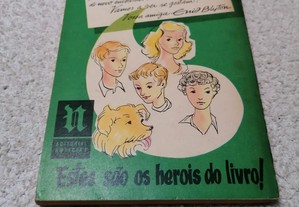 imagem_3
