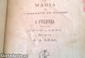 imagem_1